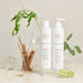 Innersense Hair Renew Scalp Balance Duo - Curly Stop